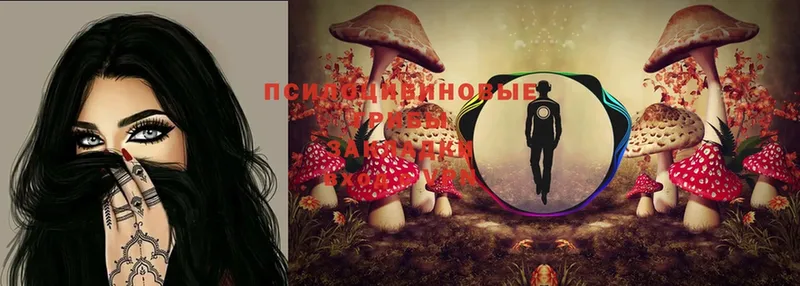 blacksprut ТОР  Новосиль  Галлюциногенные грибы MAGIC MUSHROOMS  наркота 